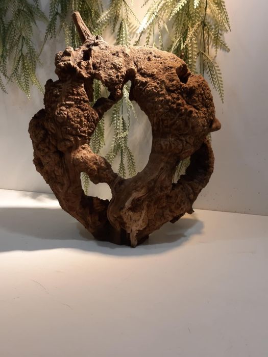 Korzeń do akwarium/terrarium