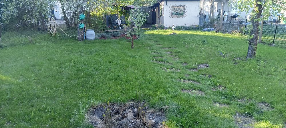 Działka ogrodowa rekreacyjna - Widok 4