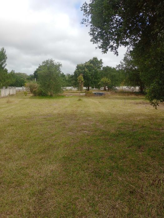 Prestação de serviços