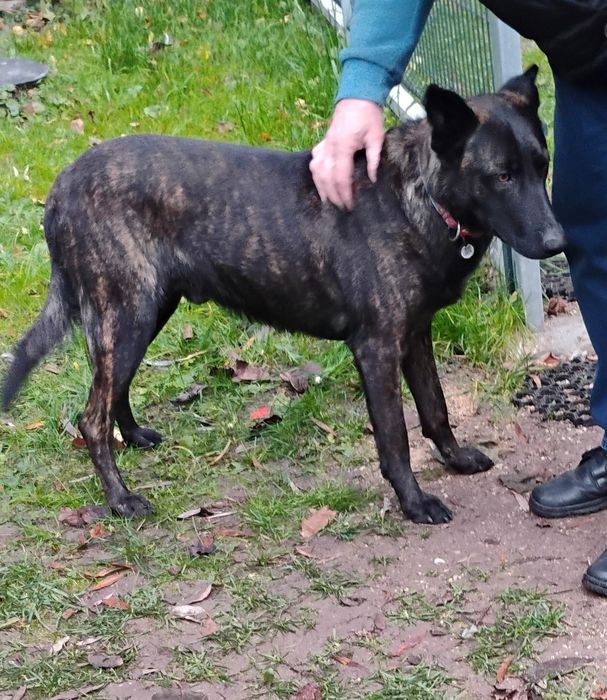 Kto pokocha cudownego Czarusia