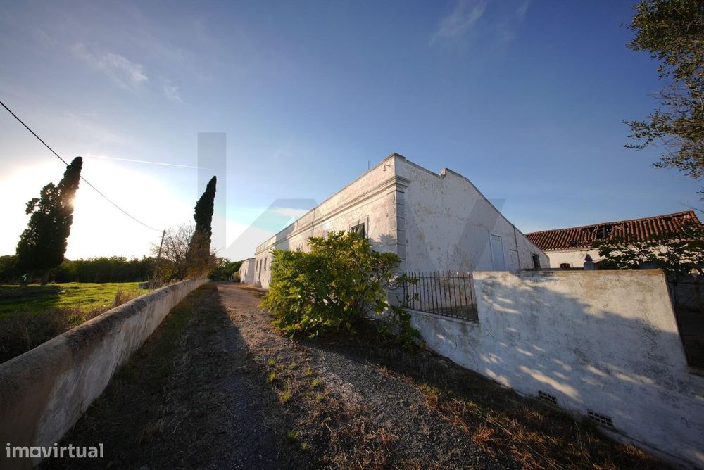 Oportunidade Única: Quinta Centenária para Recuperar em Localização Pr