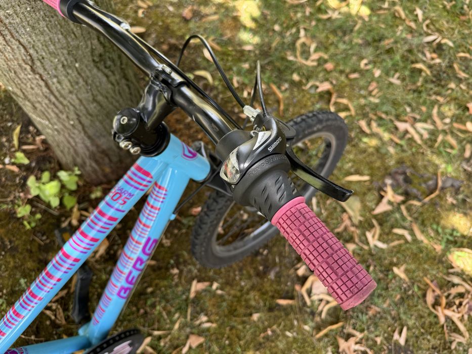 Bicicleta  Berg roda 20”