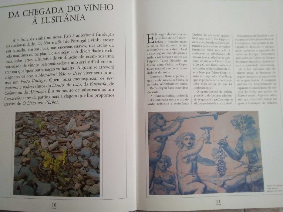 O Livro dos Vinhos