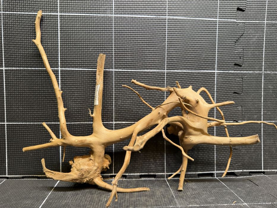 Korzeń red moor wood n-240