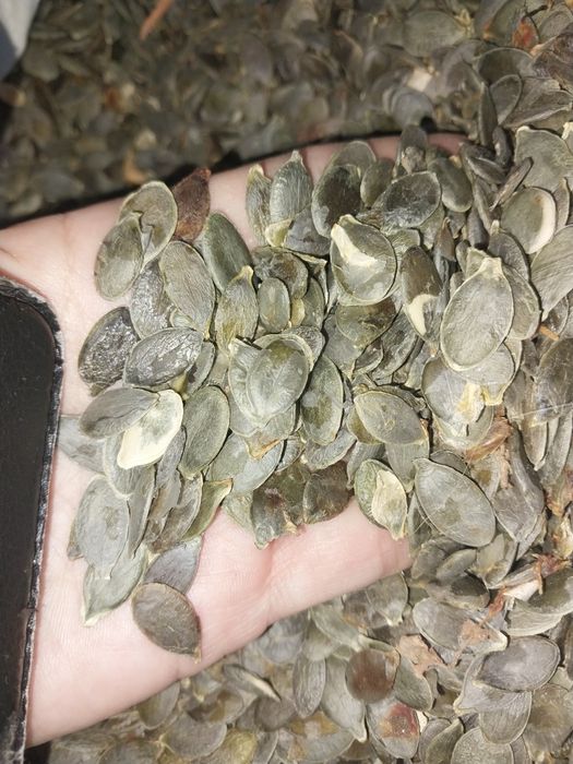 Сире голе гарбузове насіння