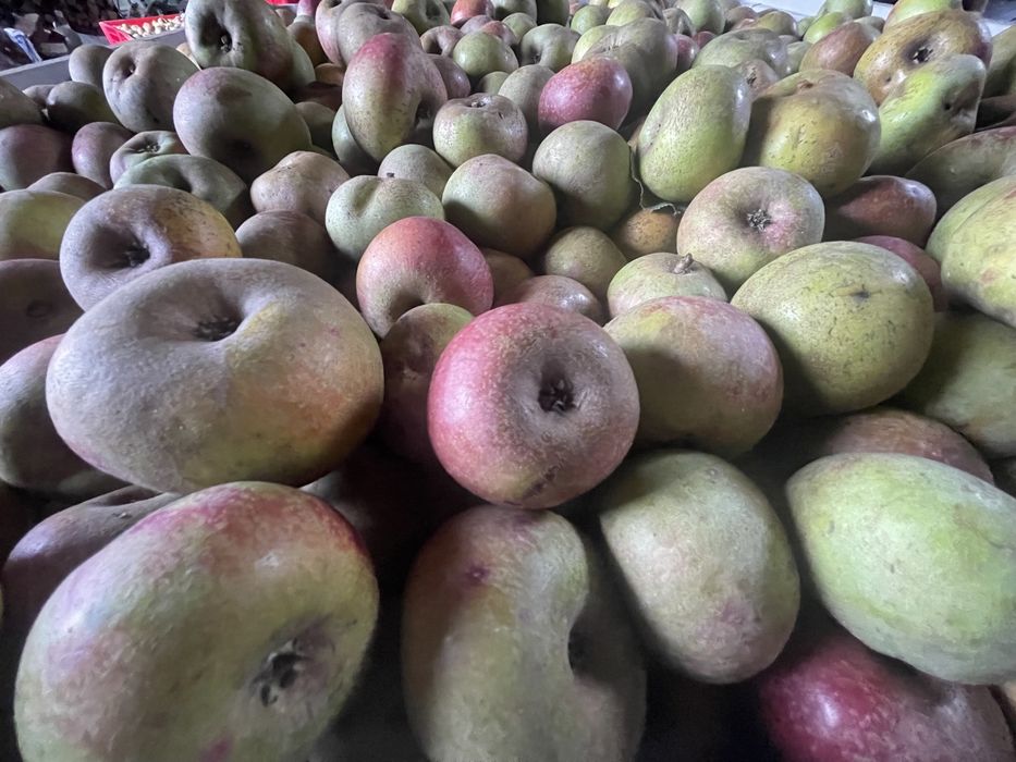 Maçã Porta da Loja