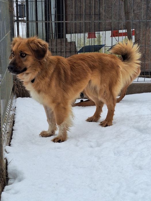 Sunia Sara szuka kochającego domu