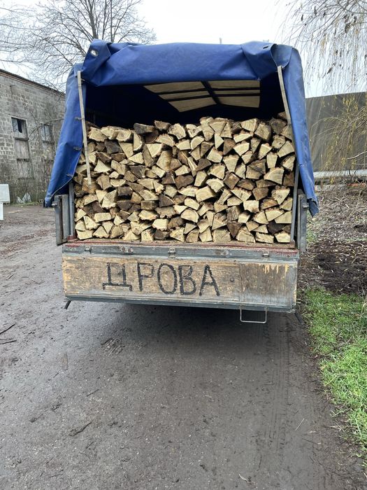 Дрова колотые твердых пород