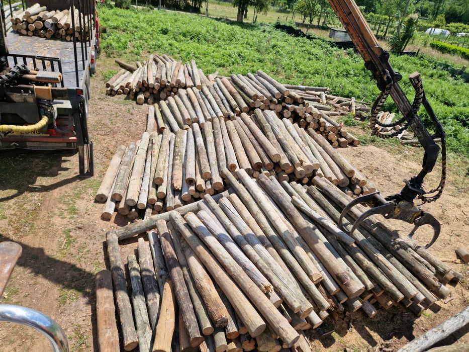Postes de madeira tratados do telefone