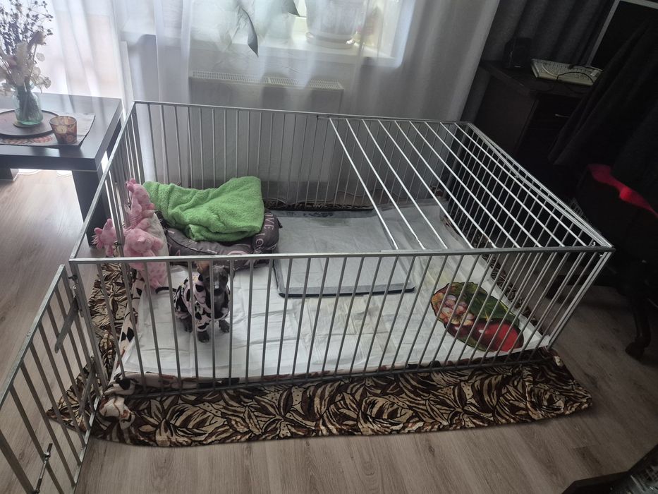 Комбинезон на собачку