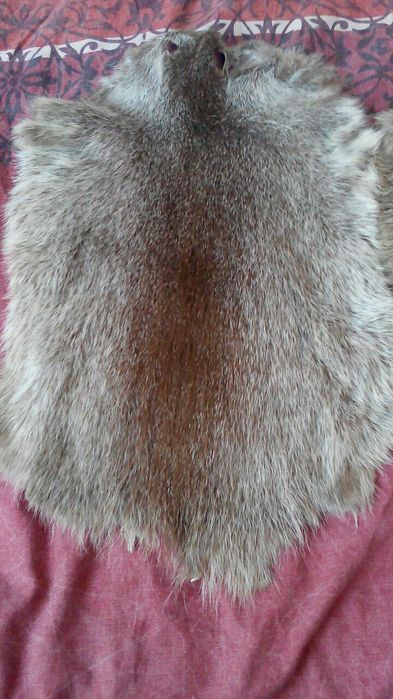 Шкуры нутрии натуральные