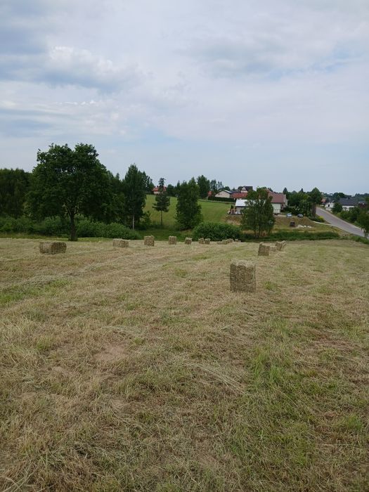 Sinano  w kostach 2026 transport