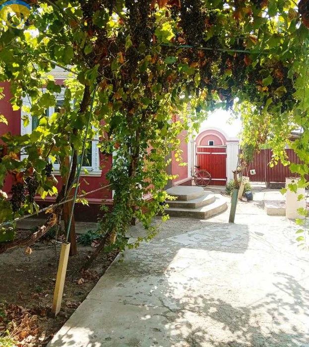 Два дома  с большим участком в с.Троицкое.