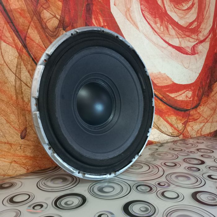 НЧ динамик  100 ГДН  3-8