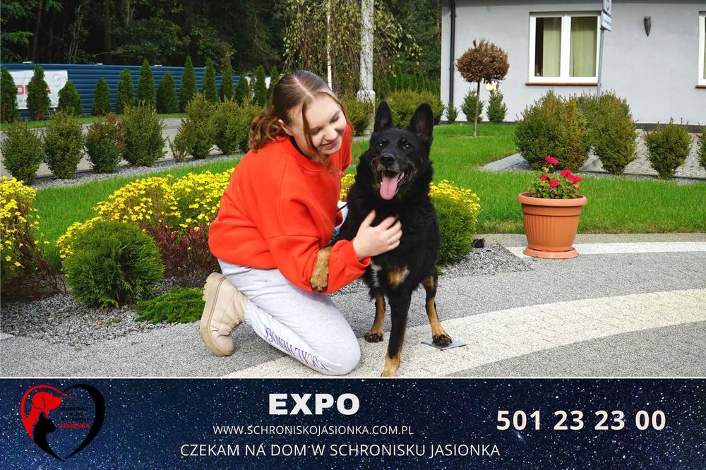 Expo do adopcji – Schronisko Jasionka