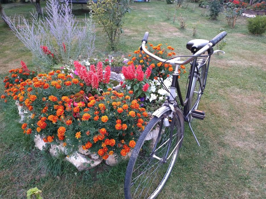 Rower Norta koła 28 piękna damka klasyk Norta rowerek na wycieczki