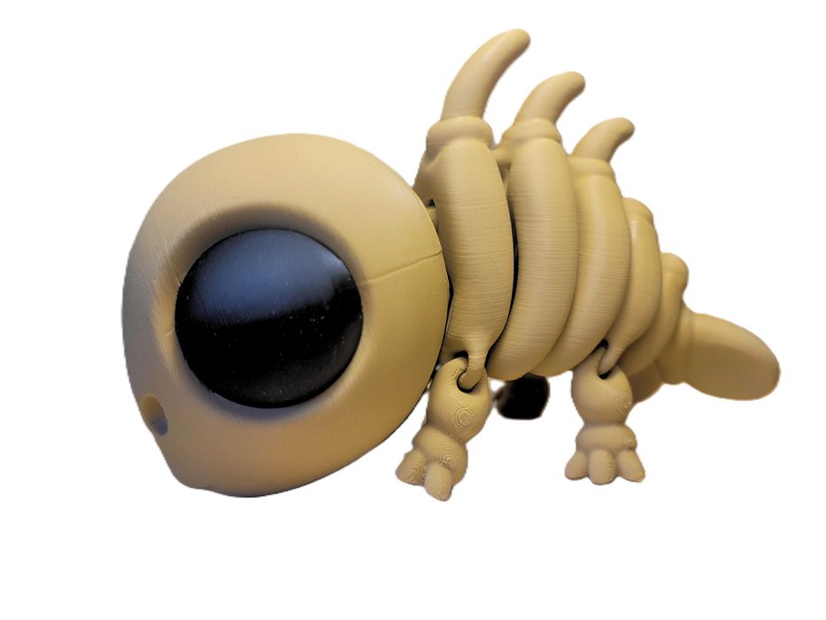 Szkielet ryby 3D - WYPRZEDAŻ