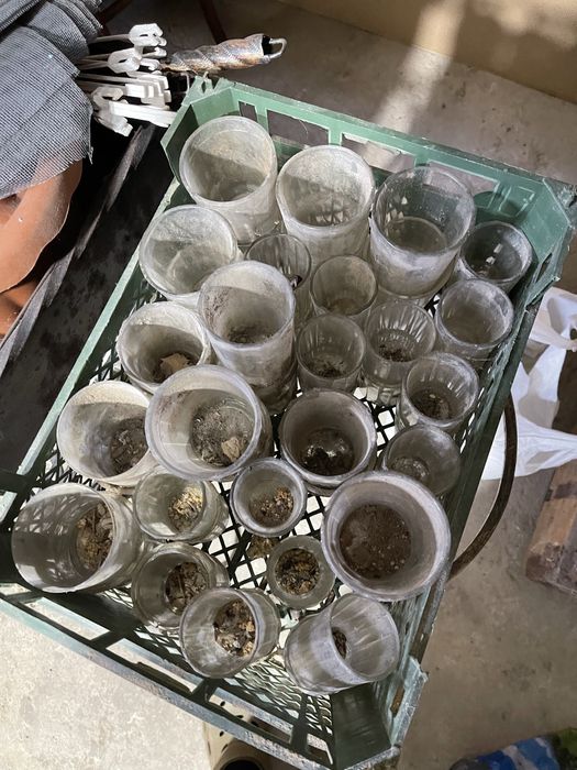 Граньоний стокан та чарки