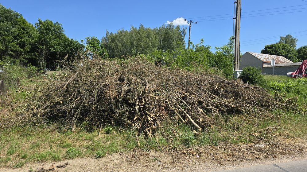 Biomasa , oddam gałęzie za darmo !