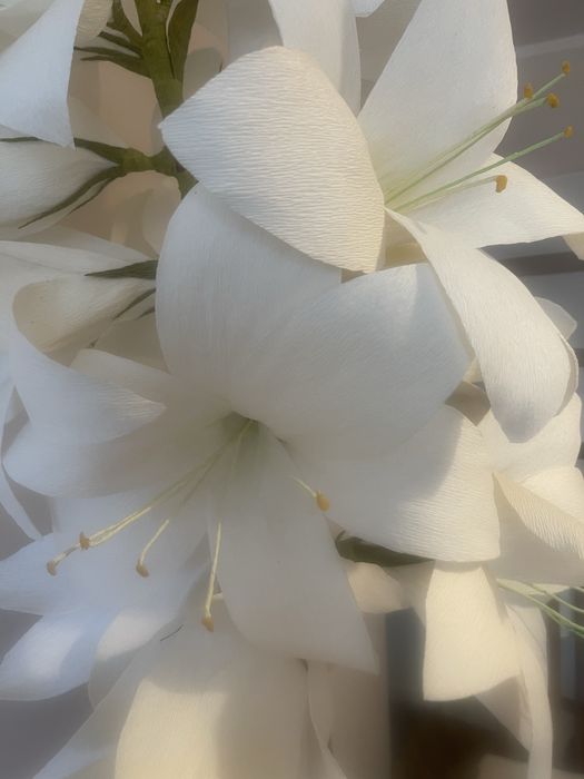 Duza biala lilia z krepiny