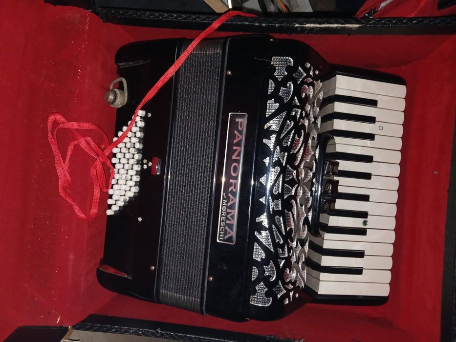 Acordeon Panorama