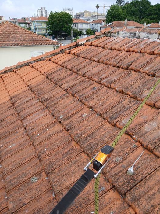 Trabalhos em Altura , Corte /Poda Árvores ,Formação Certificada