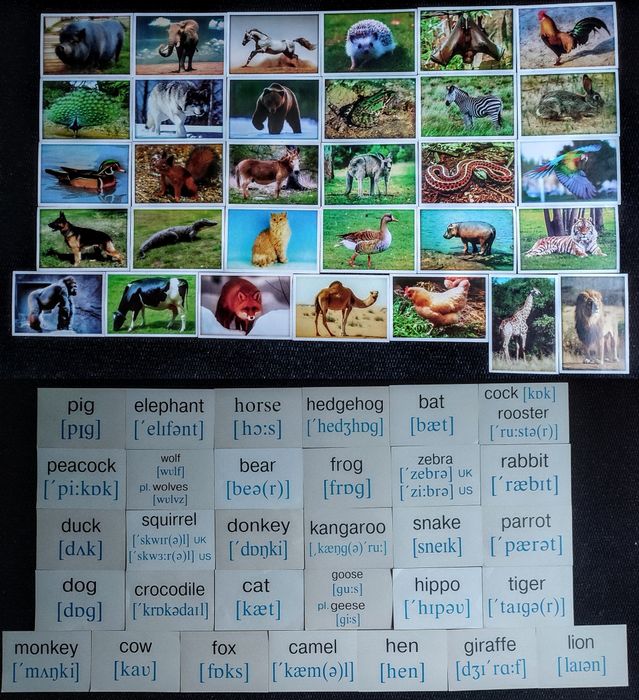 Підручники та художня література для вивчення англійської мови