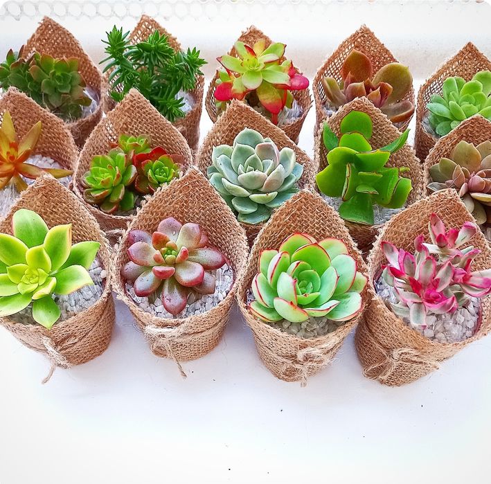 Lembranças de casamento