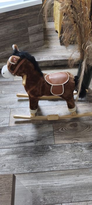Konik na biegunach