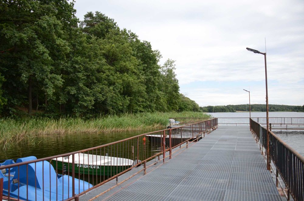 Domek 4 os. w lesie nad jeziorem k. Płocka (Grabina)