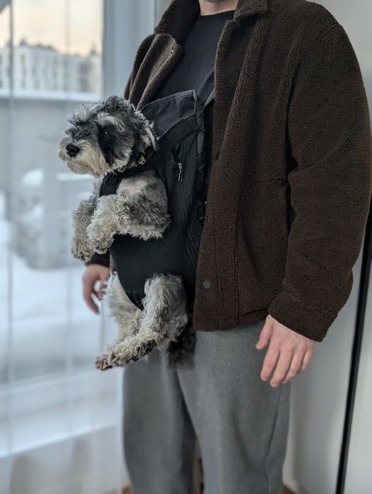 Рюкзак-кенгуру для собаки