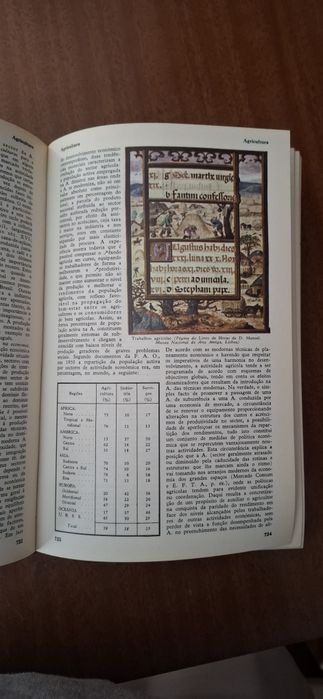 Enciclopédia Luso Brasileira