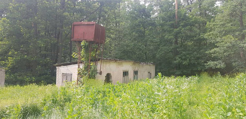 Продам будинок + парк 2 Га в Старому Мерчику | варіант для себе та бізнесу
