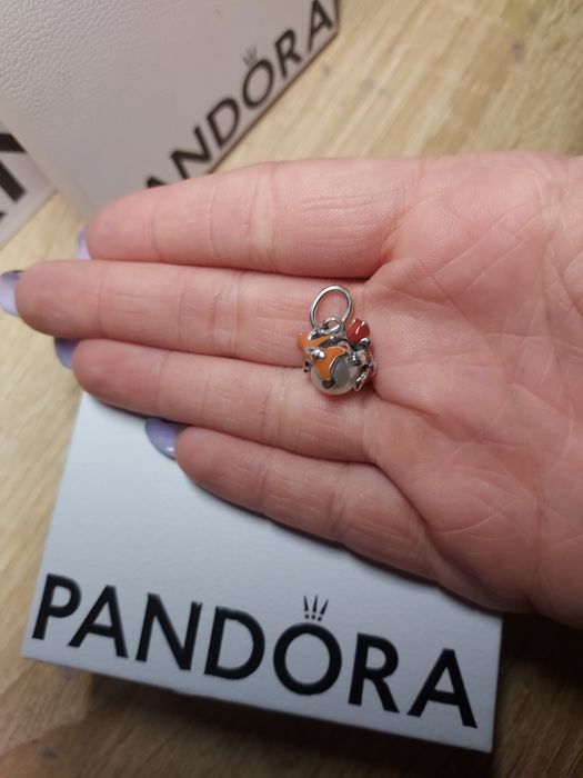 Charms z bajki disnay