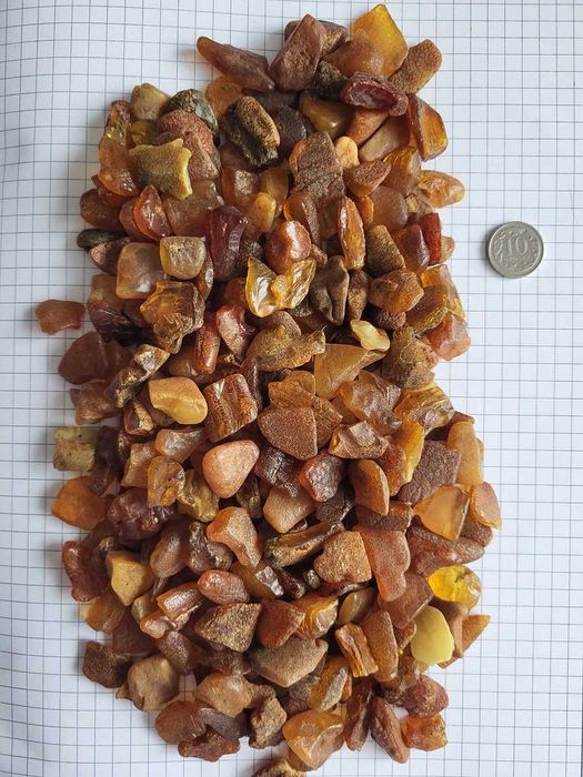 Bursztyn Bałtycki POLSKI do1gram 300zł/1KG do wyrobów duże bryłki