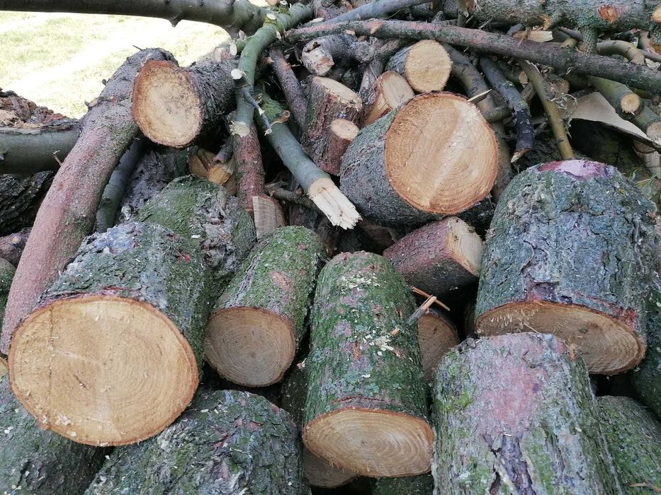 Drewno opałowe Sosna i wierzba