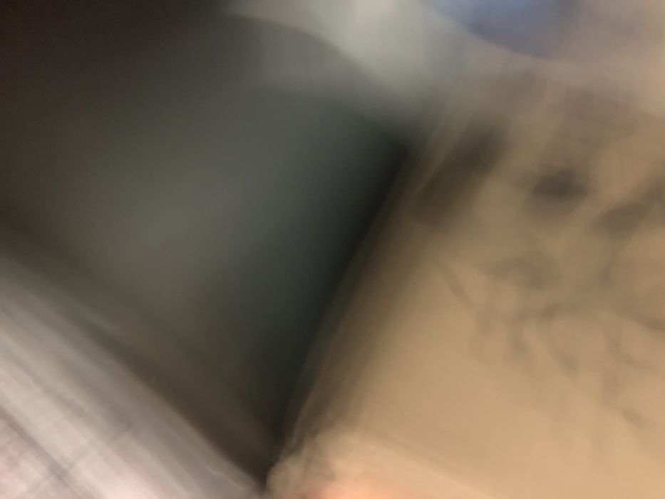 Exastor pequeno bom estado