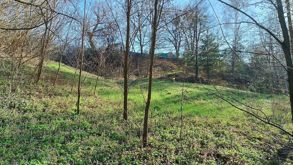 Будинок зі зручностями. Поруч  р. Ворскла 17 Соток. Р-н. Крутий берег