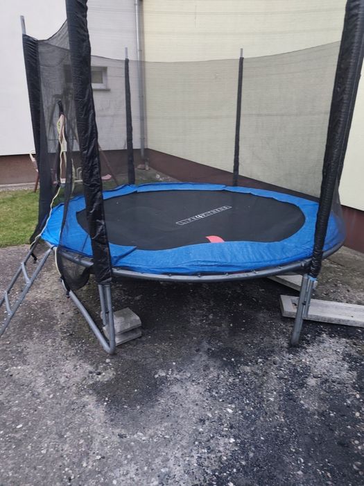 Trampolina 250cm