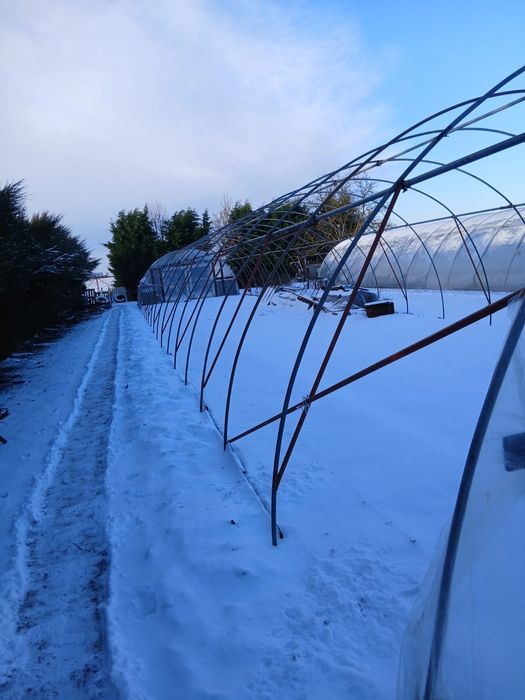 Tunel foliowy 6x30