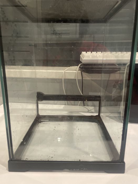 Terarium dla gekona patyczaka i innych zwierzaków