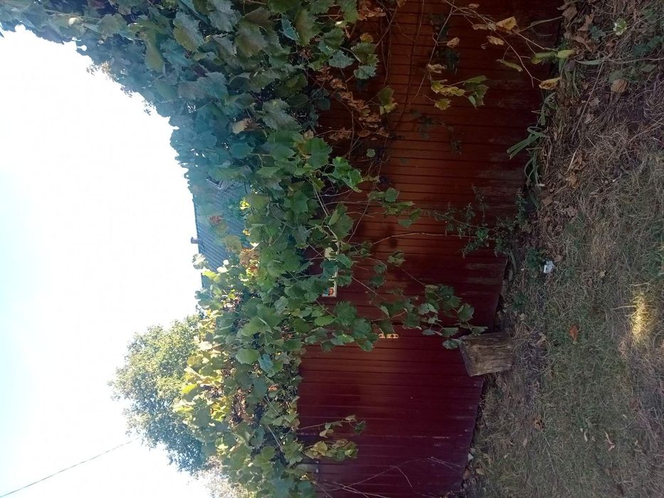 Будинок в селі Бужанка