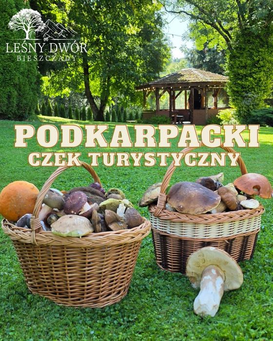 Chek Turystyczny Noclegi Bieszczady Solina Arłamów Apartamenty Pokoje Góry Wańkowa Ski