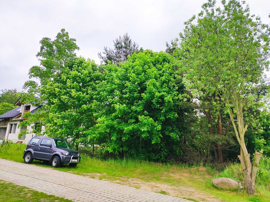 Piękna działka budowlana 800 m2 przy jeziorze i lesie w Brachlewie.