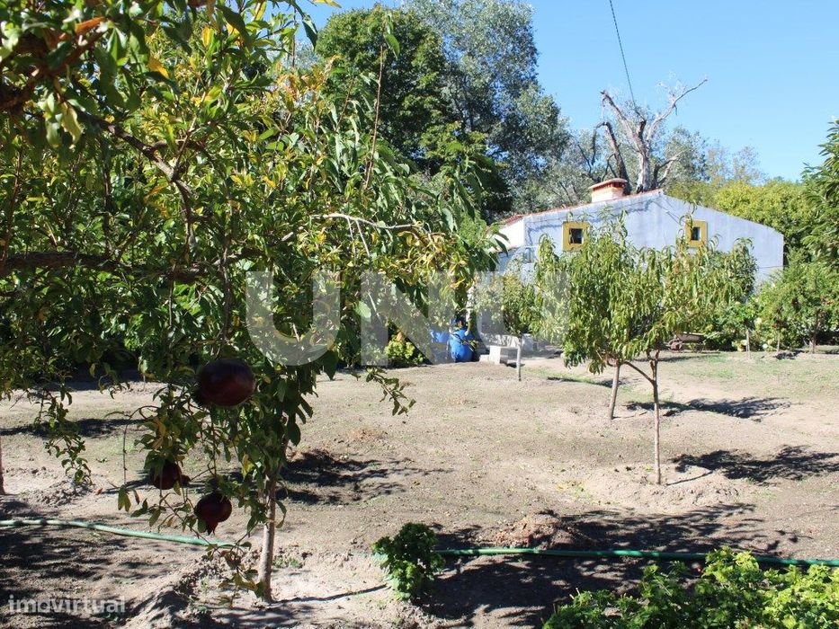 Quinta - Reguengo e São Julião - Um refúgio entre o campo e a serra!