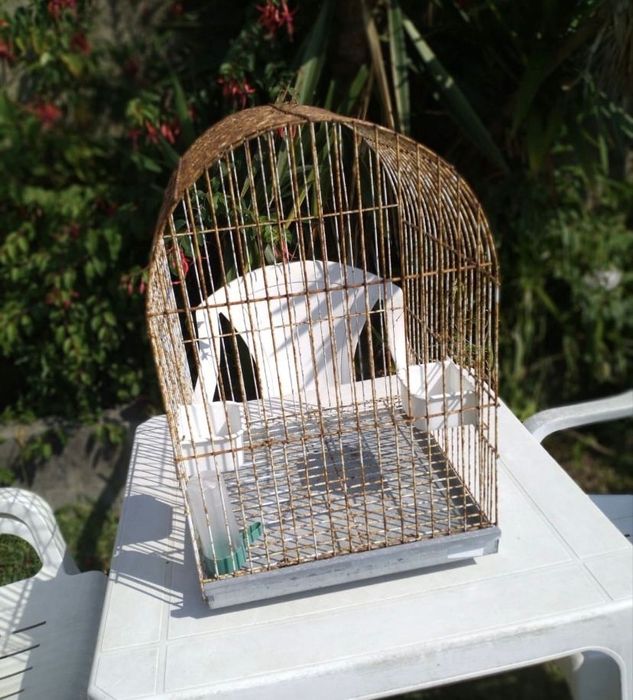 Gaiola para pássaro