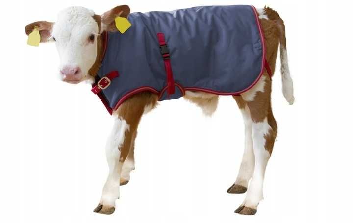 Derka dla cielaka Termoplus, 80 cm, granatowa, Kerbl