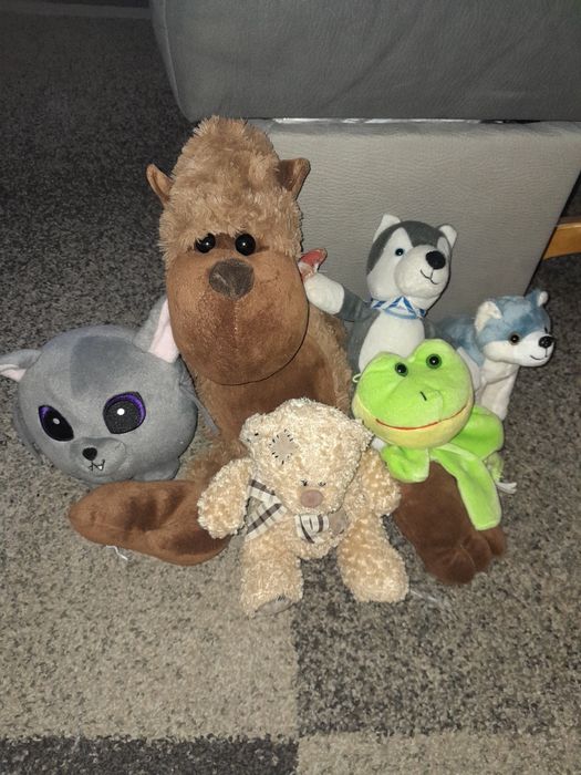 Maskotka zestaw. Polecam