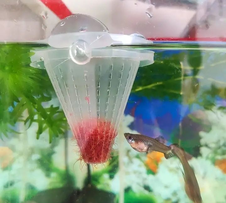 Alimentador para peixes