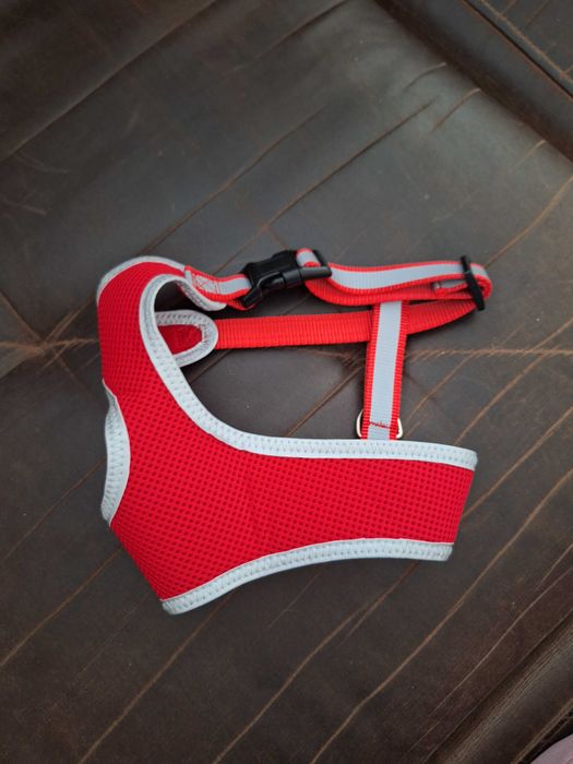 Nowe szelki dla małego psa /york/